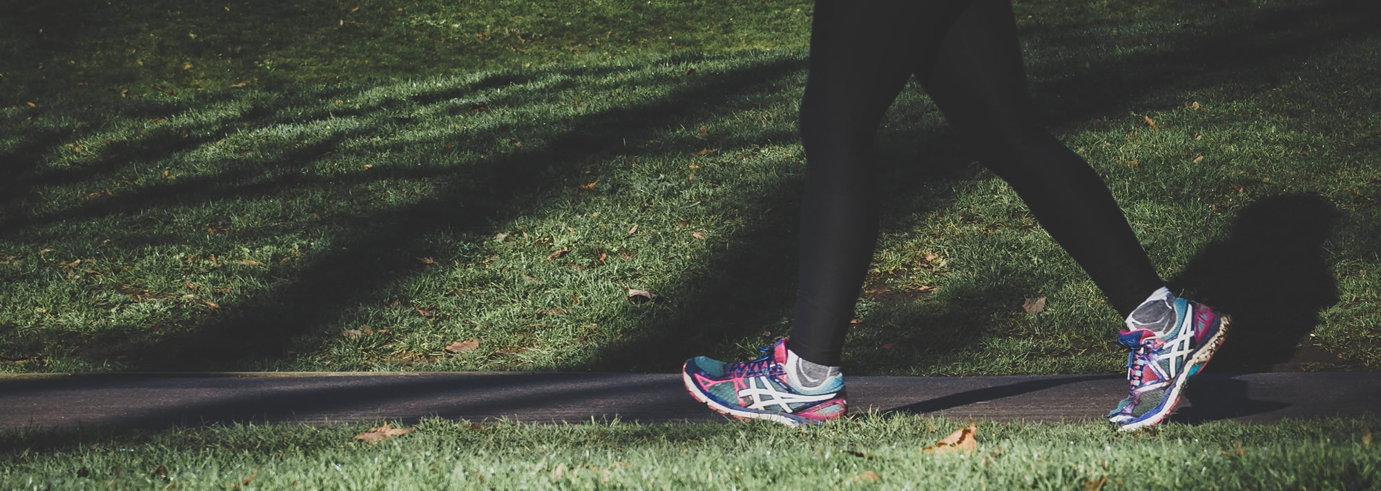 What Is an ACO and How Does It Work? Medicare ACO